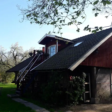 Klavertje 4 In Laren Gld *