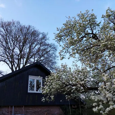 Klavertje 4 In Laren Gld