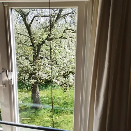Klavertje 4 In Laren Gld *