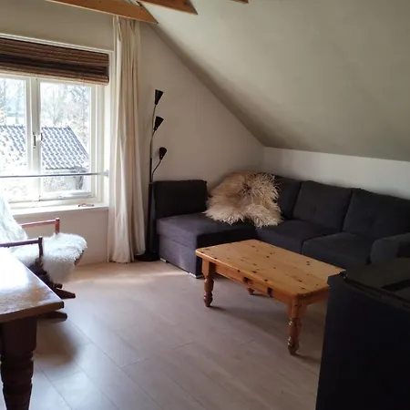 Apartment Klavertje 4 In Laren Gld